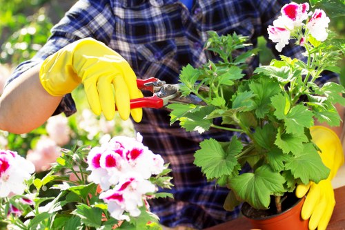 Garden waste sorting and recycling in Motspur Park