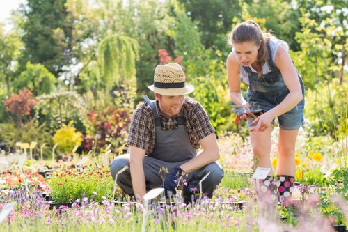 Professional handling of landscaping concerns