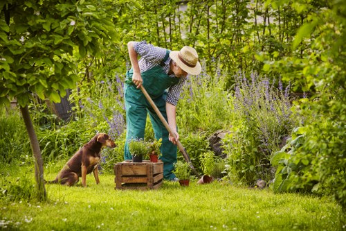 Outdoor garden upkeep and plant care in Motspur Park