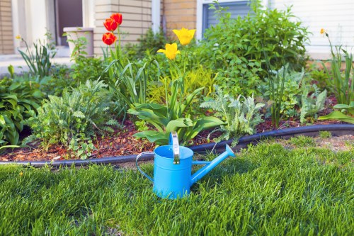 Professional garden clearance in a Motspur Park residential garden