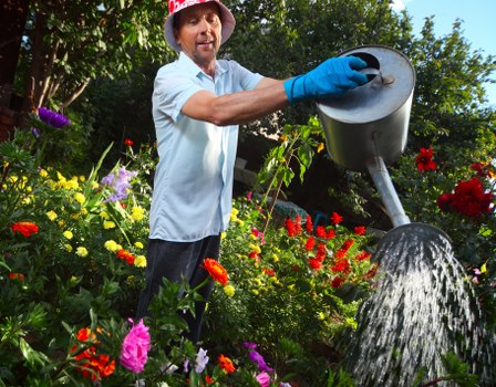 Hedge trimming and structural garden care in Motspur Park