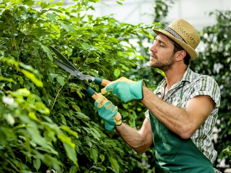 Accessibility request support for Gardeners Motspur Park visitors