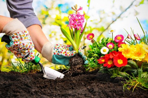Seasonal pruning and hedge trimming by gardening services in Motspur Park