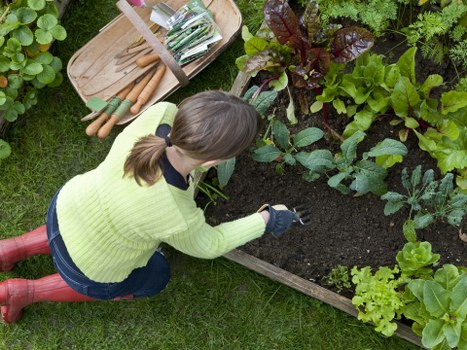 Green waste and outdoor debris collected during garden clearance