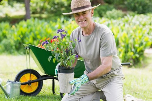 Professional gardening services in Motspur Park for neat hedges and planting