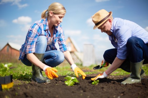 Autumn and winter lawn care in Motspur Park
