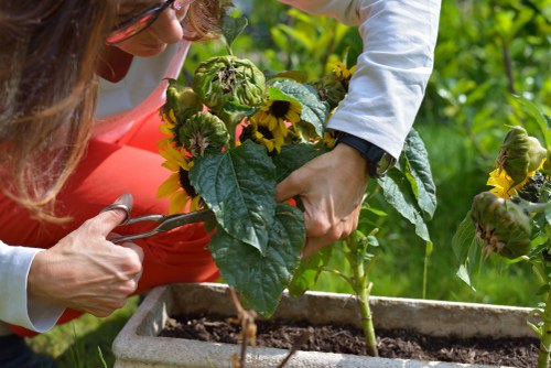 Staff wearing PPE during garden maintenance