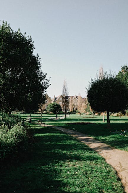 A sunlit park with a paved pathway curving through well-maintained grassy areas on either side. There are several rounded, neatly trimmed trees along the path, casting gentle shadows on the lawn. In t