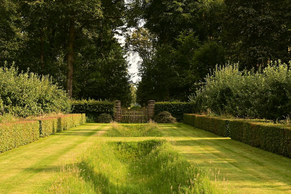 A neatly maintained garden with a lush green lawn divided into two symmetrical sections by a central pathway, bordered by well-trimmed hedges on both sides. The lawn shows visible mowing lines, with p