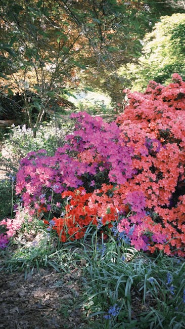 A vibrant green coniferous shrub with a slender, conical shape sits prominently in the center of a well-maintained garden bed, surrounded by low-growing leafy plants with purple and green foliage. The