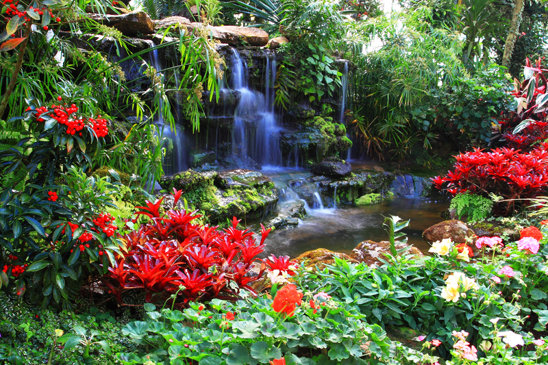 garden design Garden